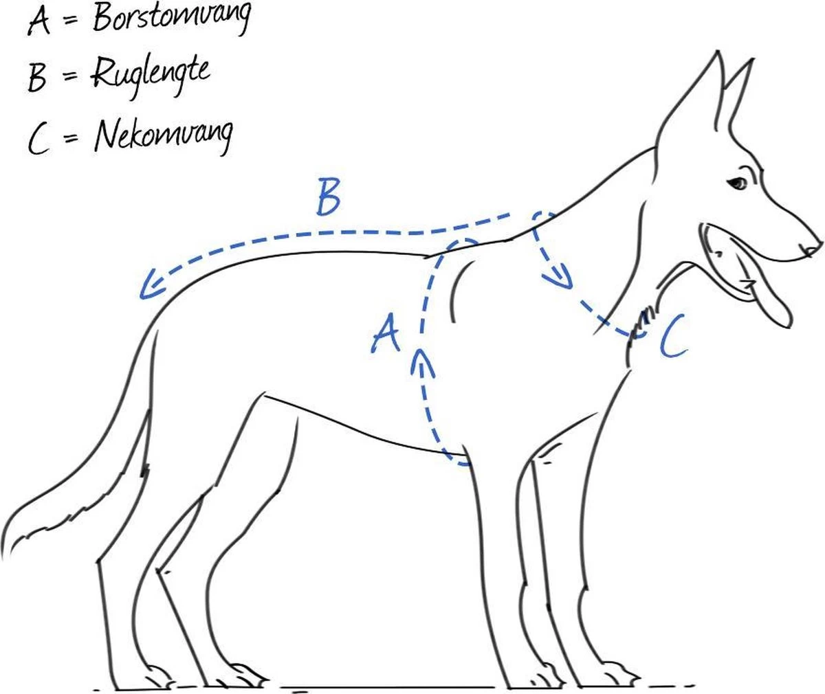Beeztees – Hondentuig – Mac Leather – Bruin – 60-100 Cm 1 Beeztees – Hondentuig – Mac Leather – Bruin – 60-100 Cm