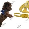 Hondenharnas | Puppy Tuigje | Geschikt Voor Teacup En Toy Breeds | Oker Geel | XXXS