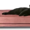 Maxxpro Katten- En Hondenbank – Roze – Verhoogd Met Houten Poten – Fluweel Materiaal – 90 X 44 X 34 CM – Huisdieren Tot 80 KG